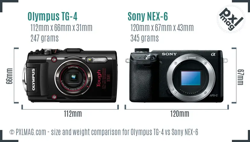 Olympus TG-4 vs Sony NEX-6 size comparison
