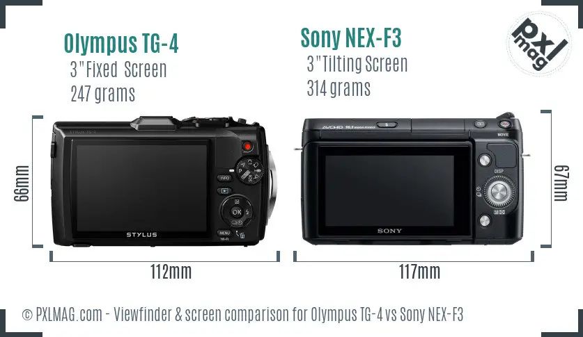 Olympus TG-4 vs Sony NEX-F3 Screen and Viewfinder comparison