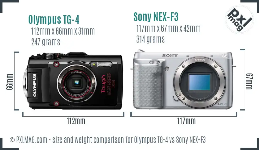 Olympus TG-4 vs Sony NEX-F3 size comparison