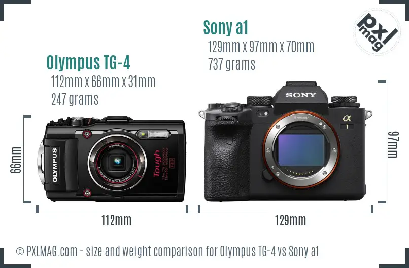 Physical size and ergonomics comparison