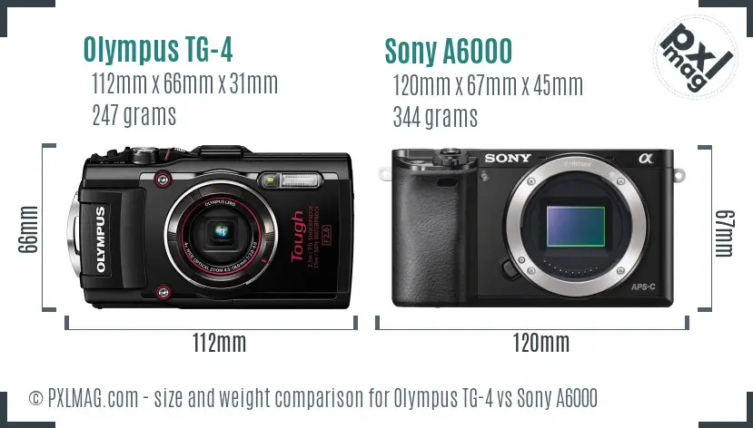 Olympus TG-4 vs Sony A6000 size comparison