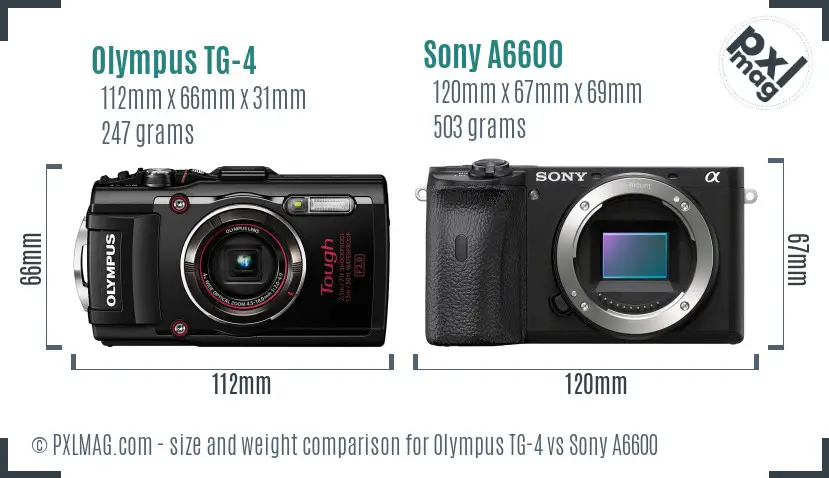 Olympus TG-4 vs Sony A6600 size comparison
