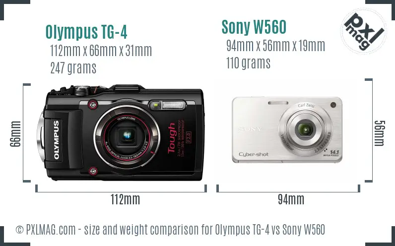 Olympus TG-4 vs Sony W560 size comparison
