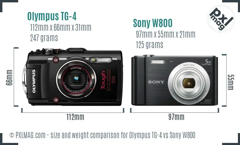 Olympus TG-4 vs Sony W800 size comparison