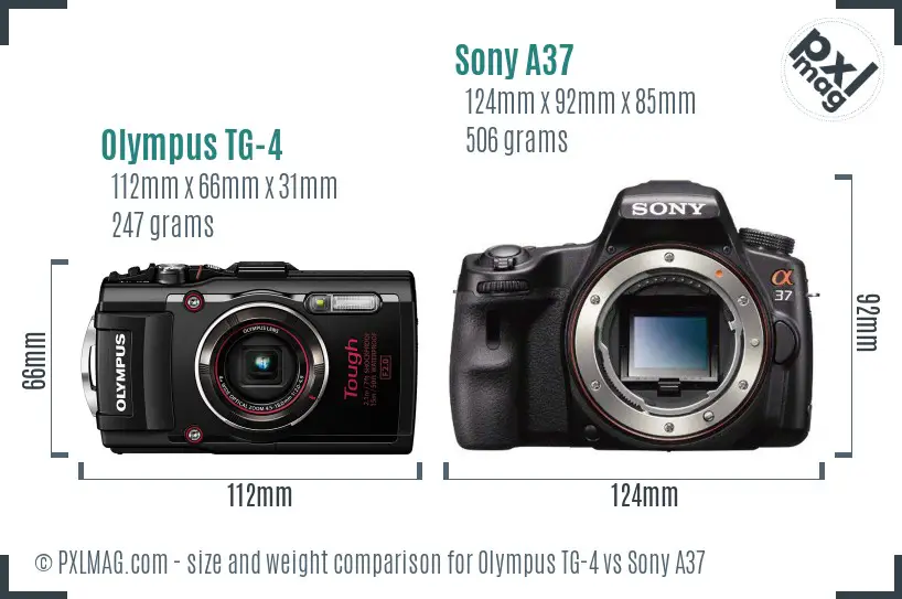 Olympus TG-4 vs Sony A37 size comparison