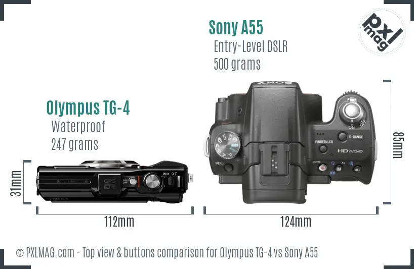 Olympus TG-4 vs Sony A55 top view buttons comparison