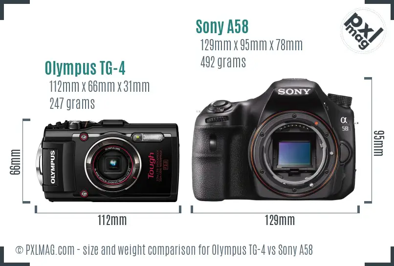 Olympus TG-4 vs Sony A58 size comparison