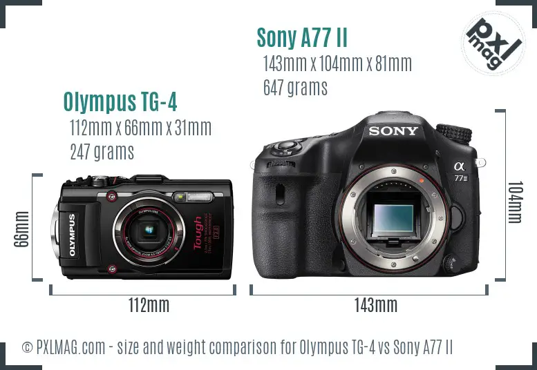 Olympus TG-4 vs Sony A77 II size comparison