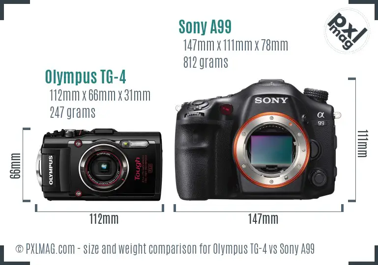 Olympus TG-4 vs Sony A99 size comparison