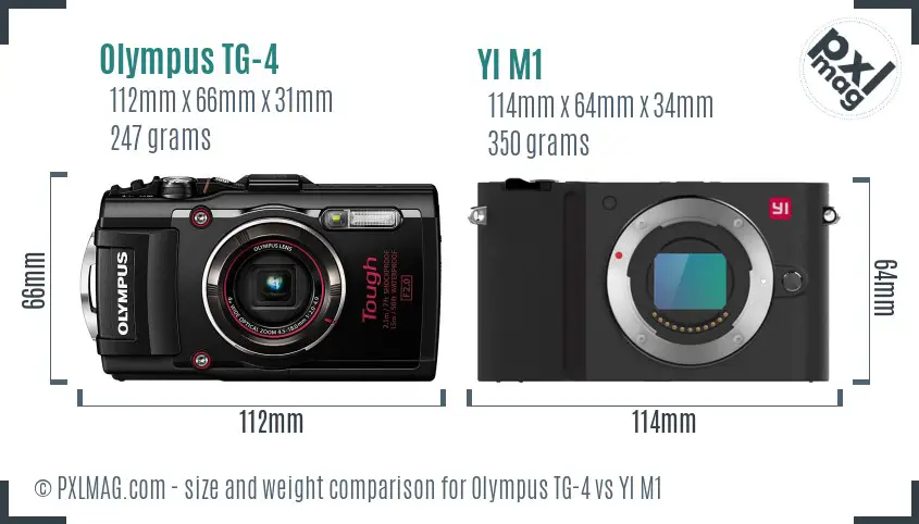 Olympus TG-4 vs YI M1 size comparison