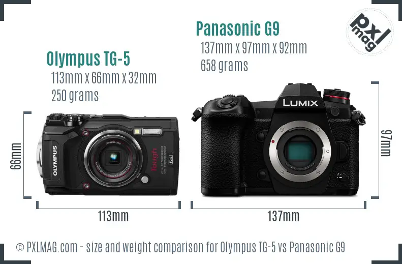 Olympus TG-5 vs Panasonic G9 size comparison