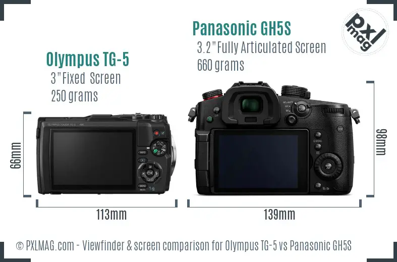Olympus TG-5 vs Panasonic GH5S Screen and Viewfinder comparison