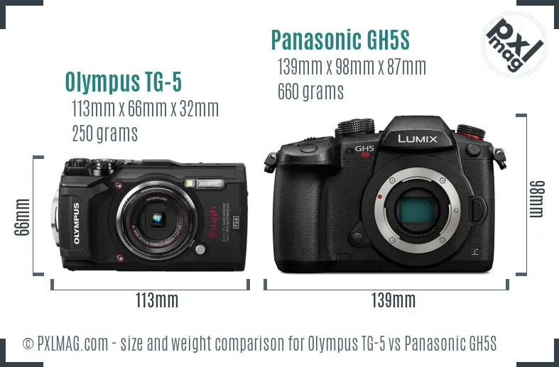 Olympus TG-5 vs Panasonic GH5S size comparison