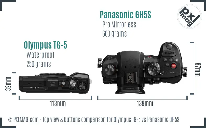 Olympus TG-5 vs Panasonic GH5S top view buttons comparison