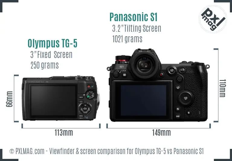 Olympus TG-5 vs Panasonic S1 Screen and Viewfinder comparison