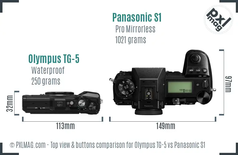 Olympus TG-5 vs Panasonic S1 top view buttons comparison