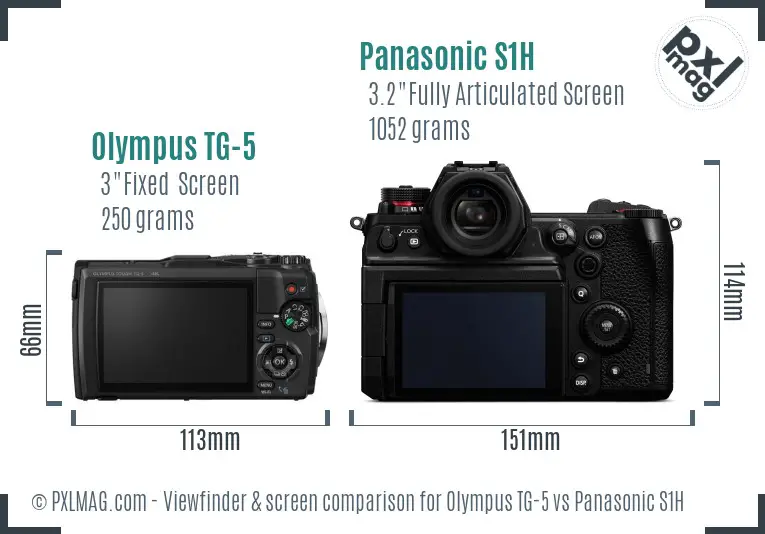 Olympus TG-5 vs Panasonic S1H Screen and Viewfinder comparison
