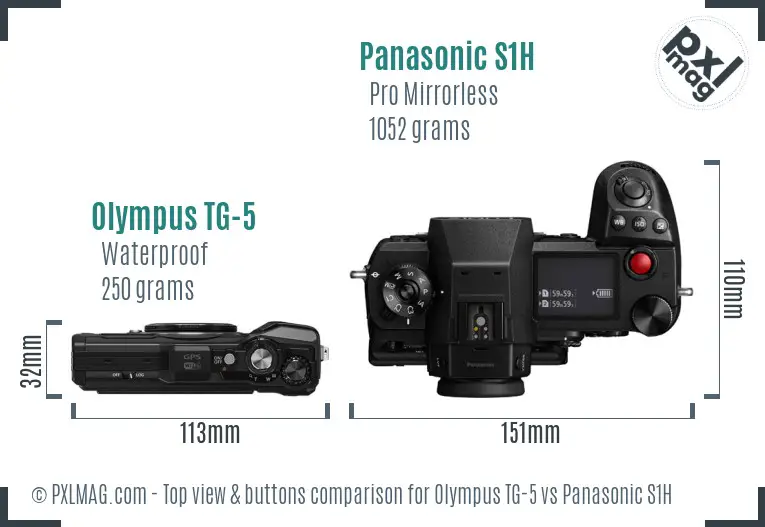 Olympus TG-5 vs Panasonic S1H top view buttons comparison