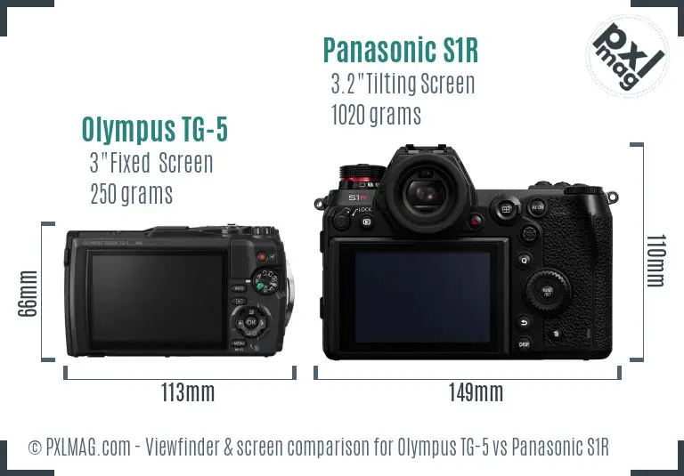 Olympus TG-5 vs Panasonic S1R Screen and Viewfinder comparison