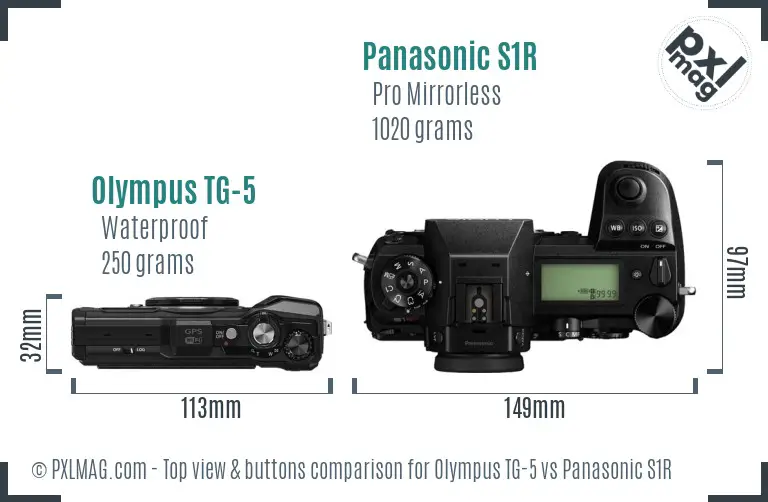 Olympus TG-5 vs Panasonic S1R top view buttons comparison