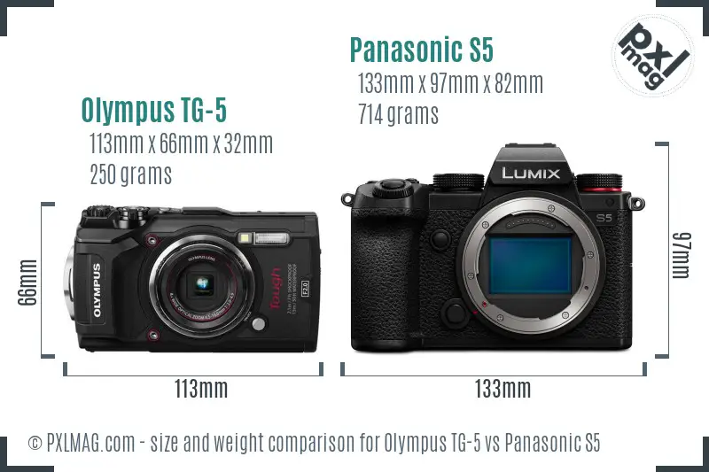 Olympus TG-5 vs Panasonic S5 size comparison