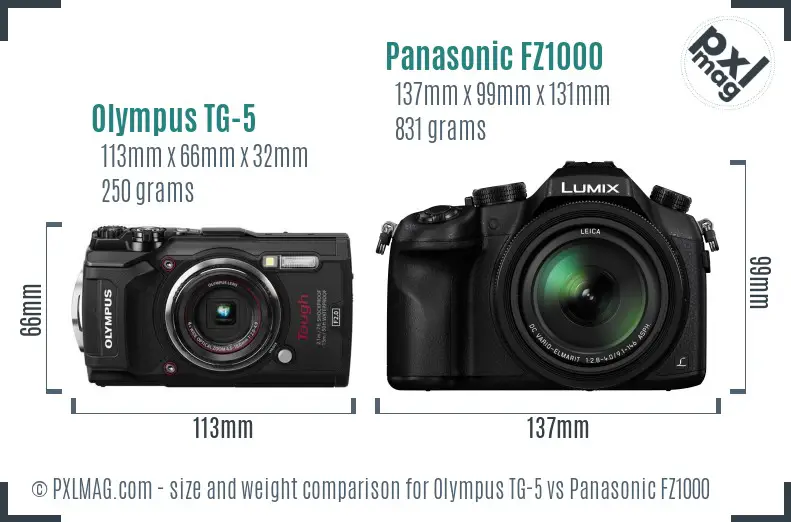 Olympus TG-5 vs Panasonic FZ1000 size comparison