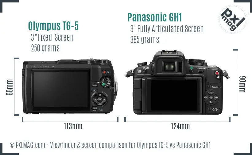 Olympus TG-5 vs Panasonic GH1 Screen and Viewfinder comparison