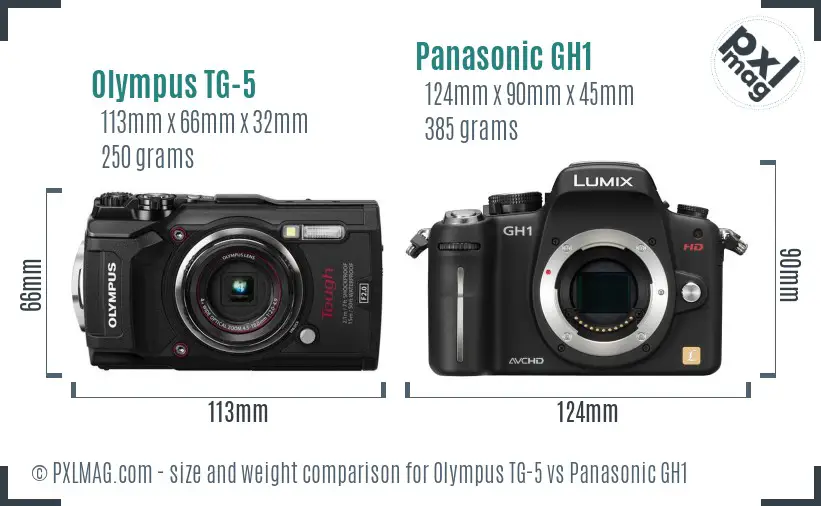 Olympus TG-5 vs Panasonic GH1 size comparison