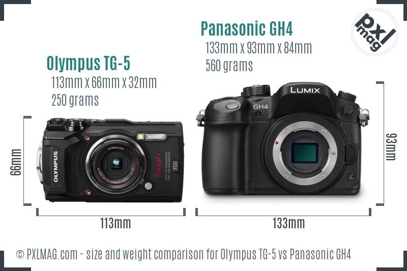 Olympus TG-5 vs Panasonic GH4 size comparison