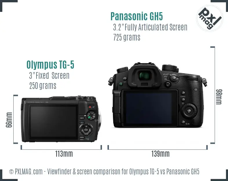 Olympus TG-5 vs Panasonic GH5 Screen and Viewfinder comparison