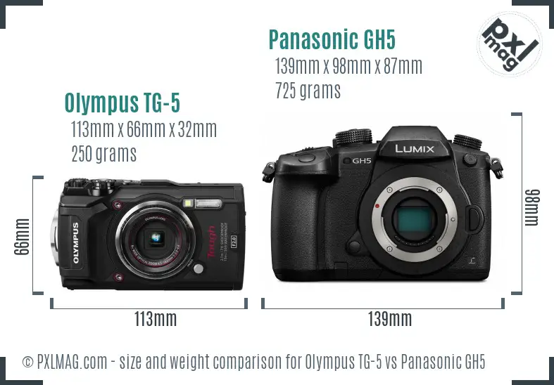 Olympus TG-5 vs Panasonic GH5 size comparison
