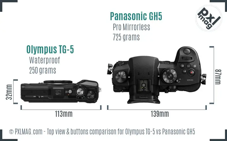 Olympus TG-5 vs Panasonic GH5 top view buttons comparison