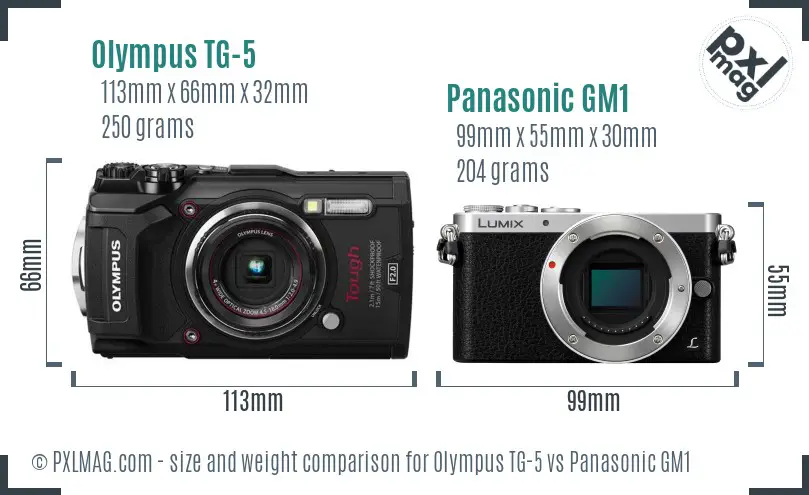 Olympus TG-5 vs Panasonic GM1 size comparison