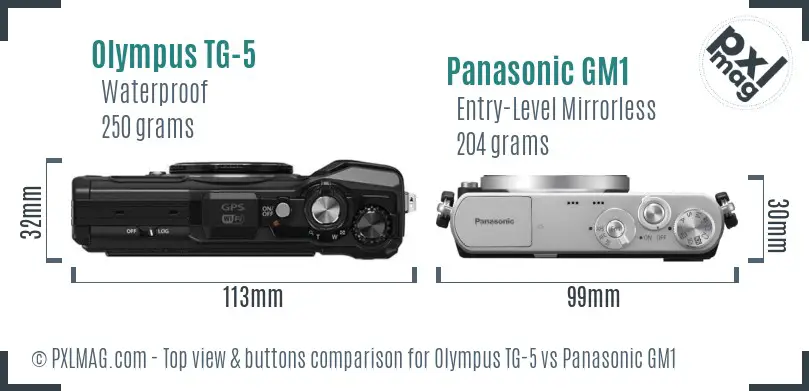 Olympus TG-5 vs Panasonic GM1 top view buttons comparison