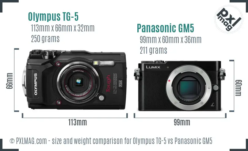 Olympus TG-5 vs Panasonic GM5 size comparison