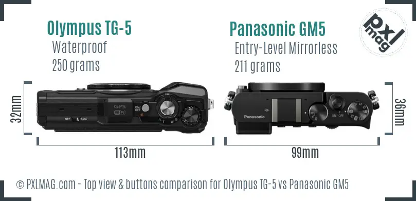 Olympus TG-5 vs Panasonic GM5 top view buttons comparison