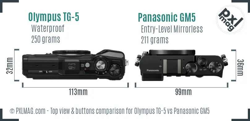 Olympus TG-5 vs Panasonic GM5 top view buttons comparison Olympus TG-5 vs Panasonic GM5 top view buttons comparison