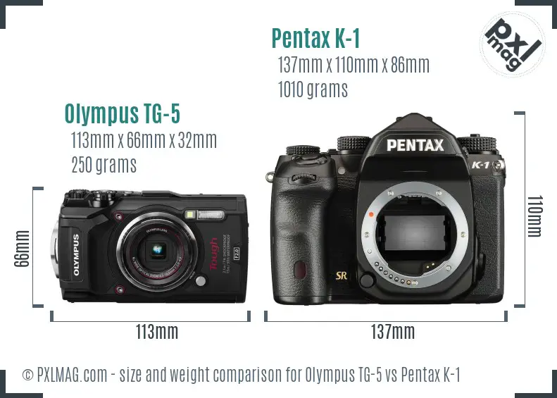 Olympus TG-5 vs Pentax K-1 size comparison