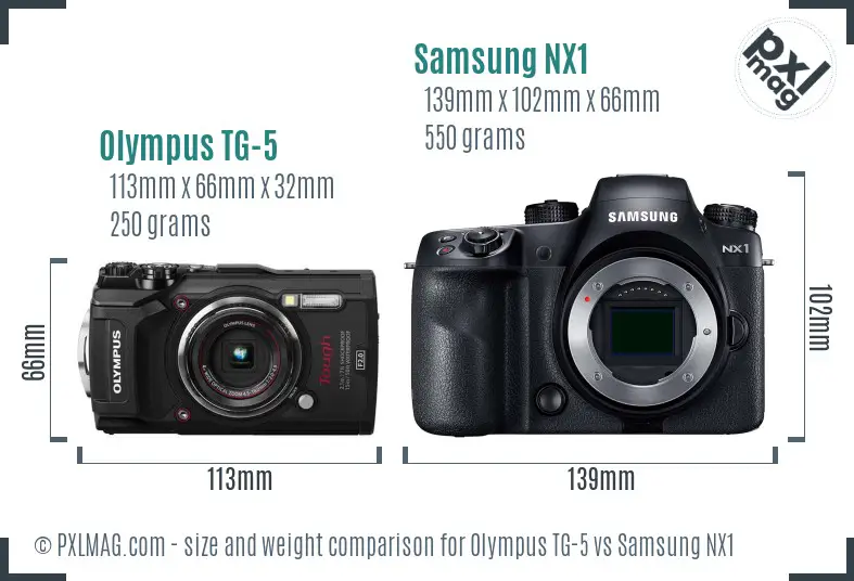 Olympus TG-5 vs Samsung NX1 size comparison