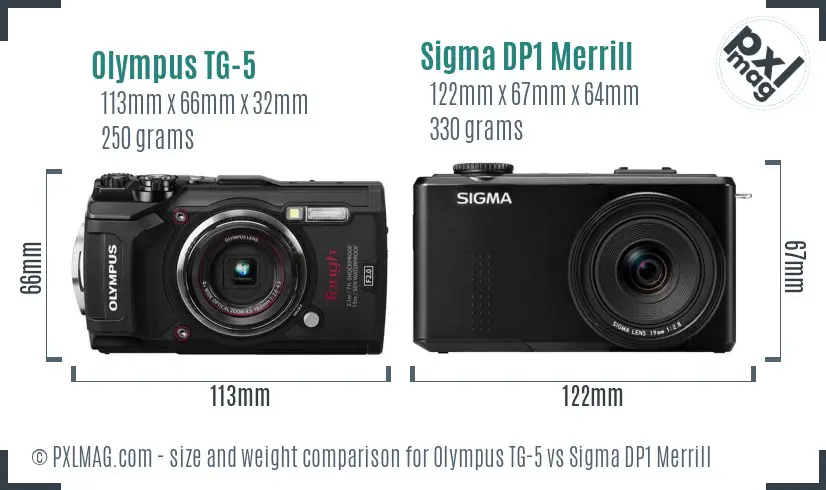 Olympus TG-5 vs Sigma DP1 Merrill size comparison