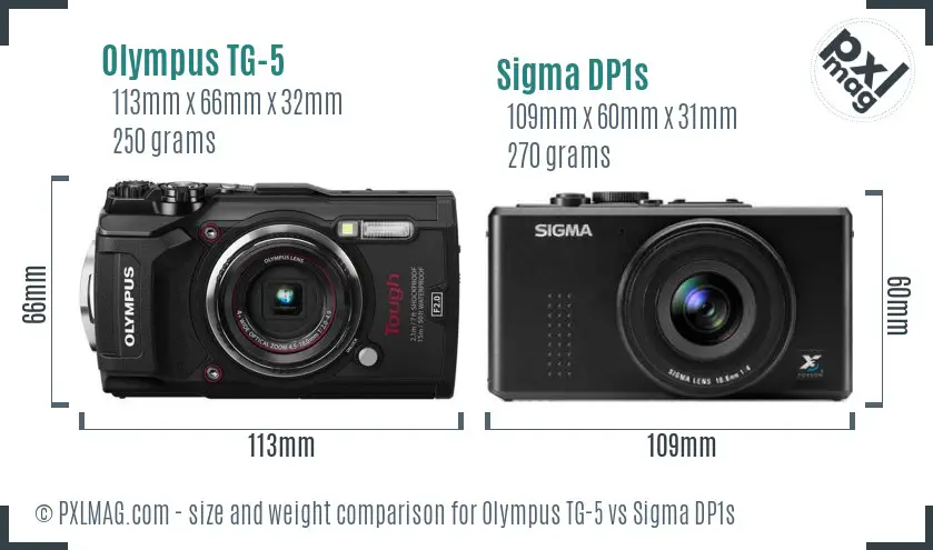 Olympus TG-5 vs Sigma DP1s size comparison