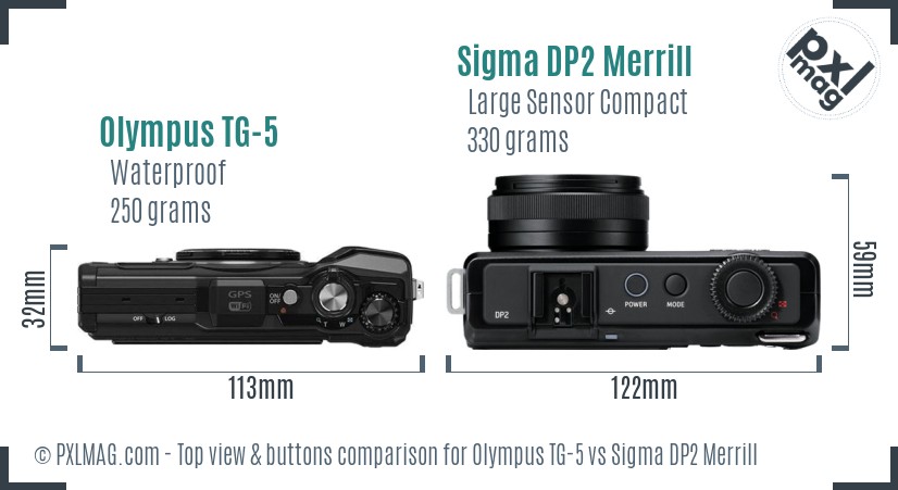Olympus TG-5 vs Sigma DP2 Merrill top view buttons comparison