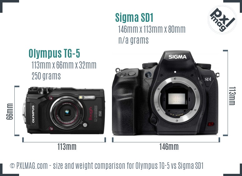 Olympus TG-5 vs Sigma SD1 size comparison