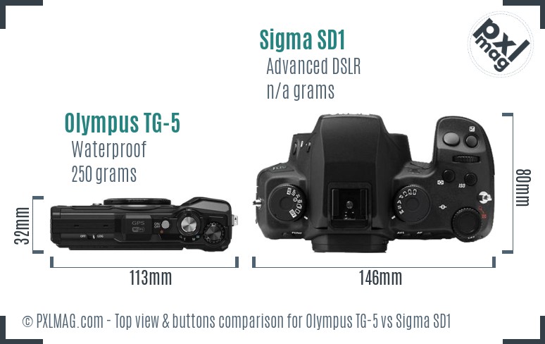 Olympus TG-5 vs Sigma SD1 top view buttons comparison