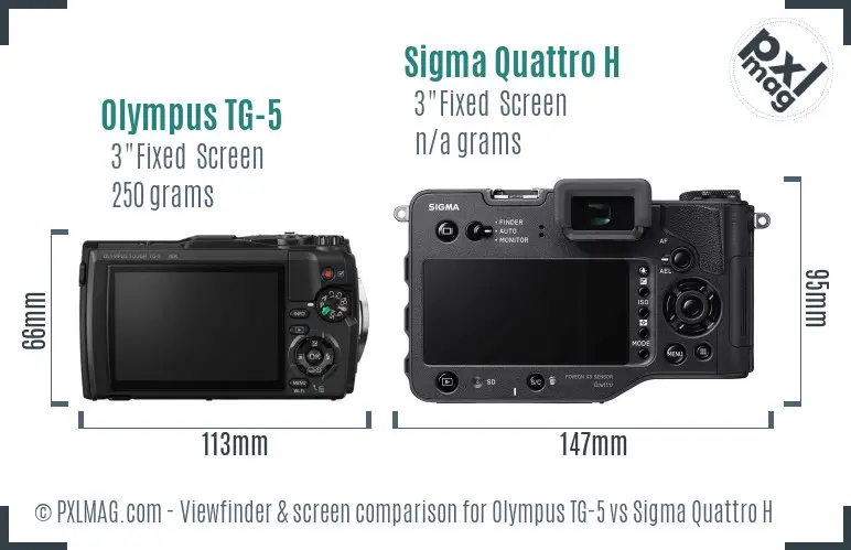 Olympus TG-5 vs Sigma Quattro H Screen and Viewfinder comparison