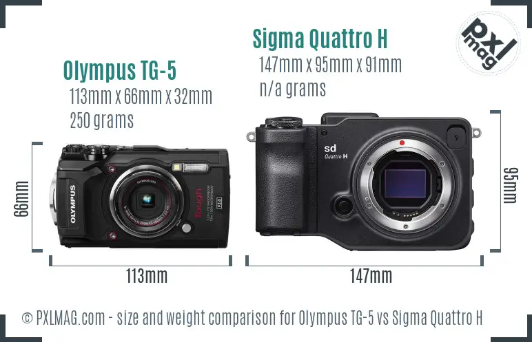 Olympus TG-5 vs Sigma Quattro H size comparison