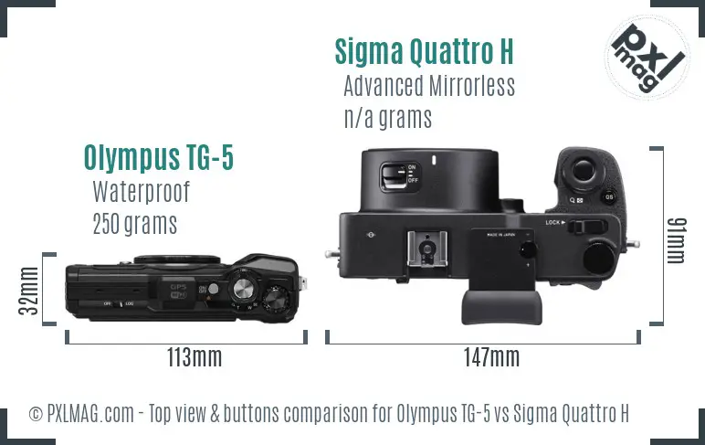 Olympus TG-5 vs Sigma Quattro H top view buttons comparison