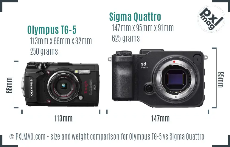 Olympus TG-5 vs Sigma Quattro size comparison
