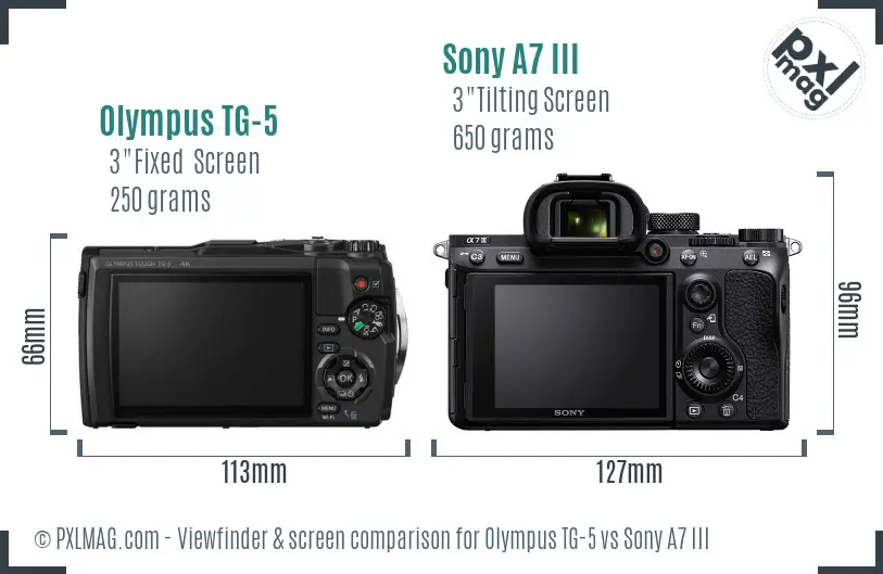 Olympus TG-5 vs Sony A7 III Screen and Viewfinder comparison