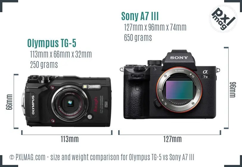 Olympus TG-5 vs Sony A7 III size comparison